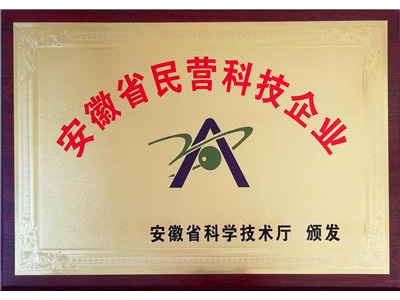民营科技企业