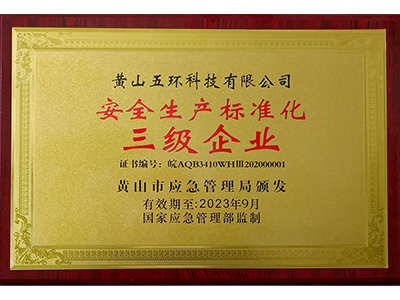 安全生产标准三级企业 